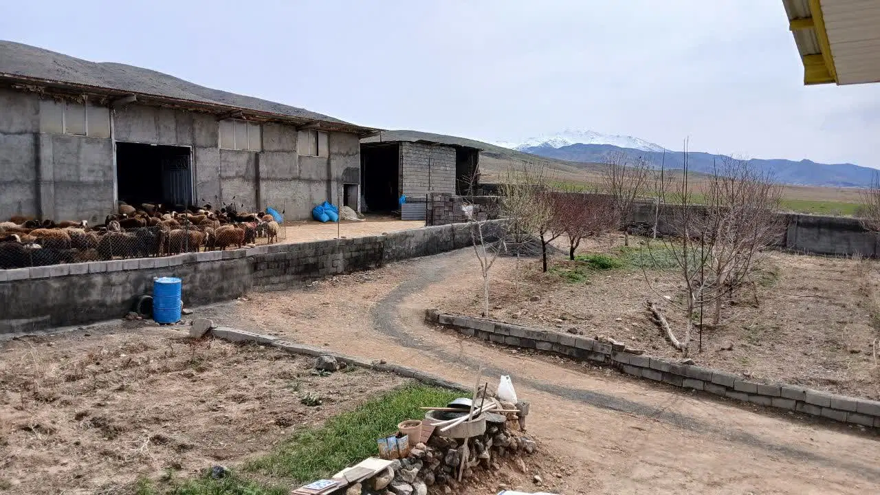 اجاره سوله دامداری،کارگاه