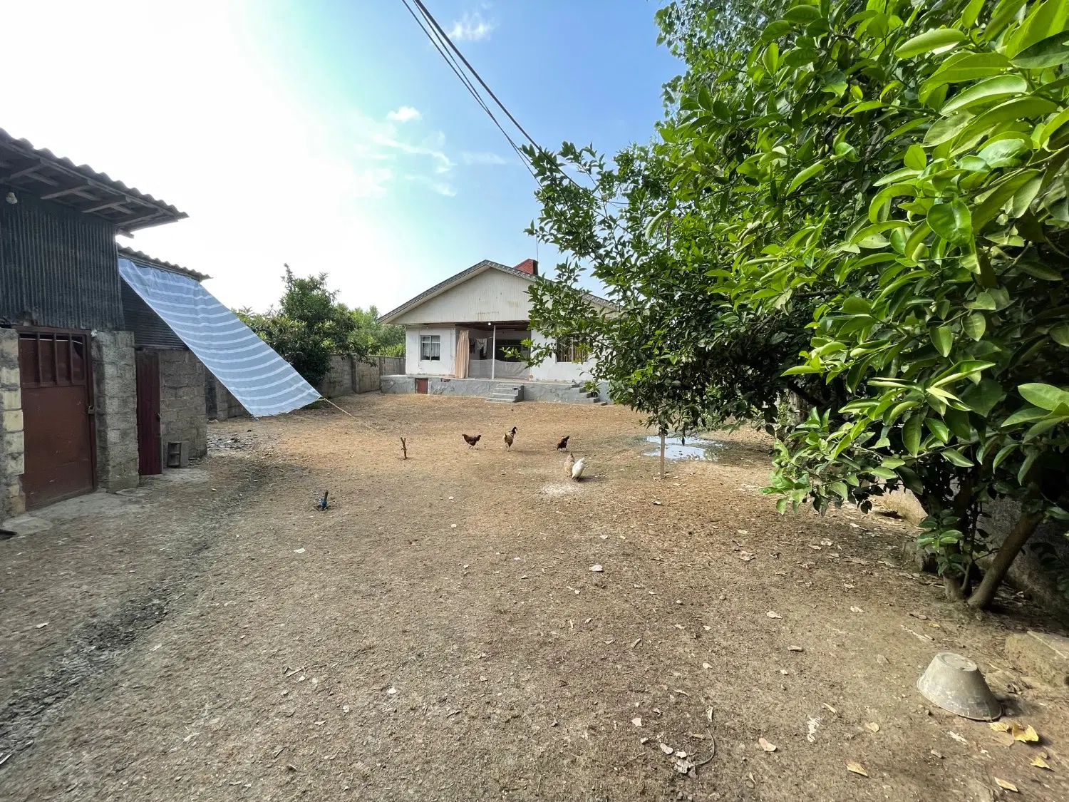 یه ملک دارم برای فروش