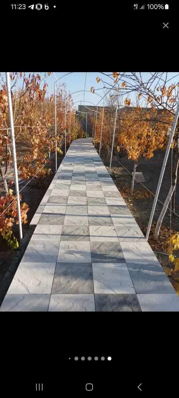 ملک کلنگی  سعدی ۸