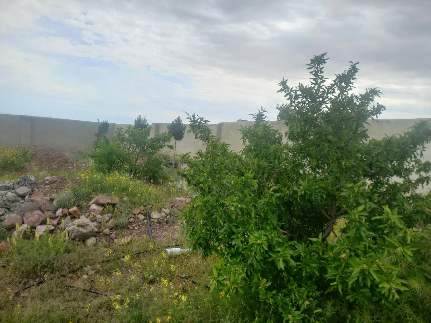 قطعه ویلایی با برق +گاز اختصاصی خواجه مرجان