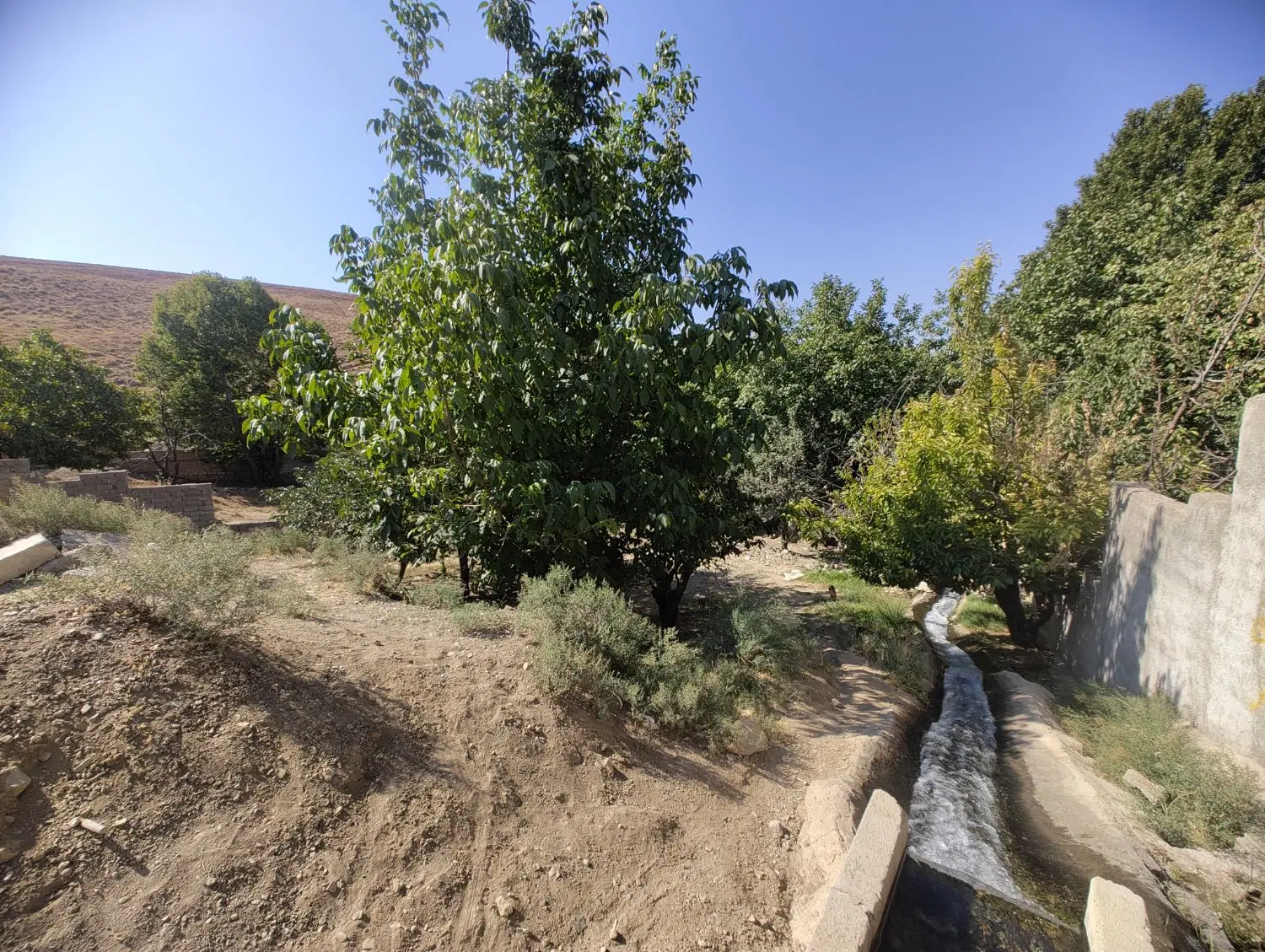 فروش زمین در خور