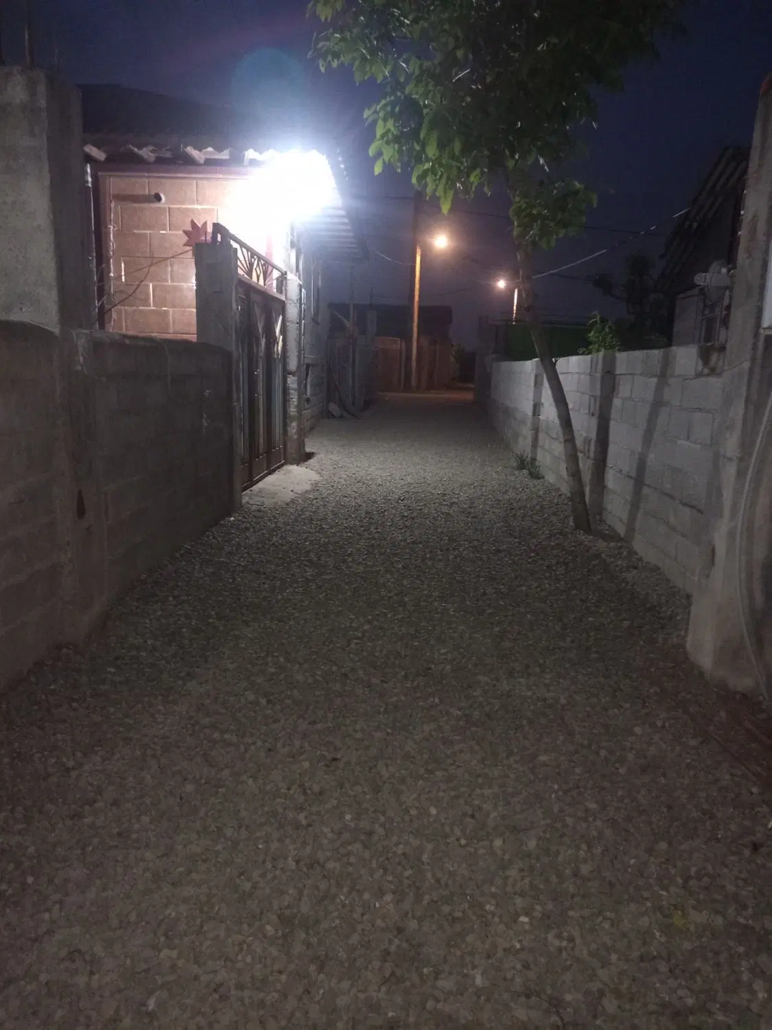 ویلا  اجاره روزانه