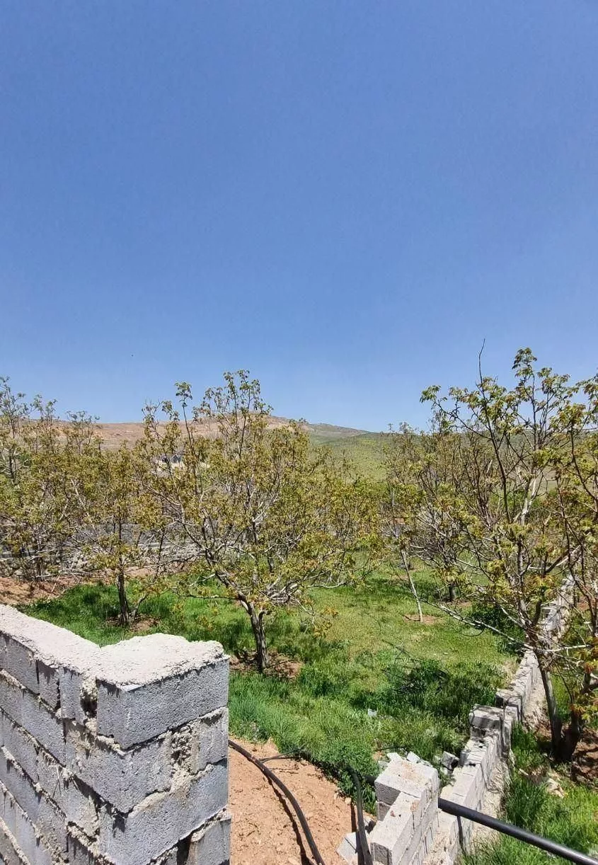 3100 متر زمین در پورزند
