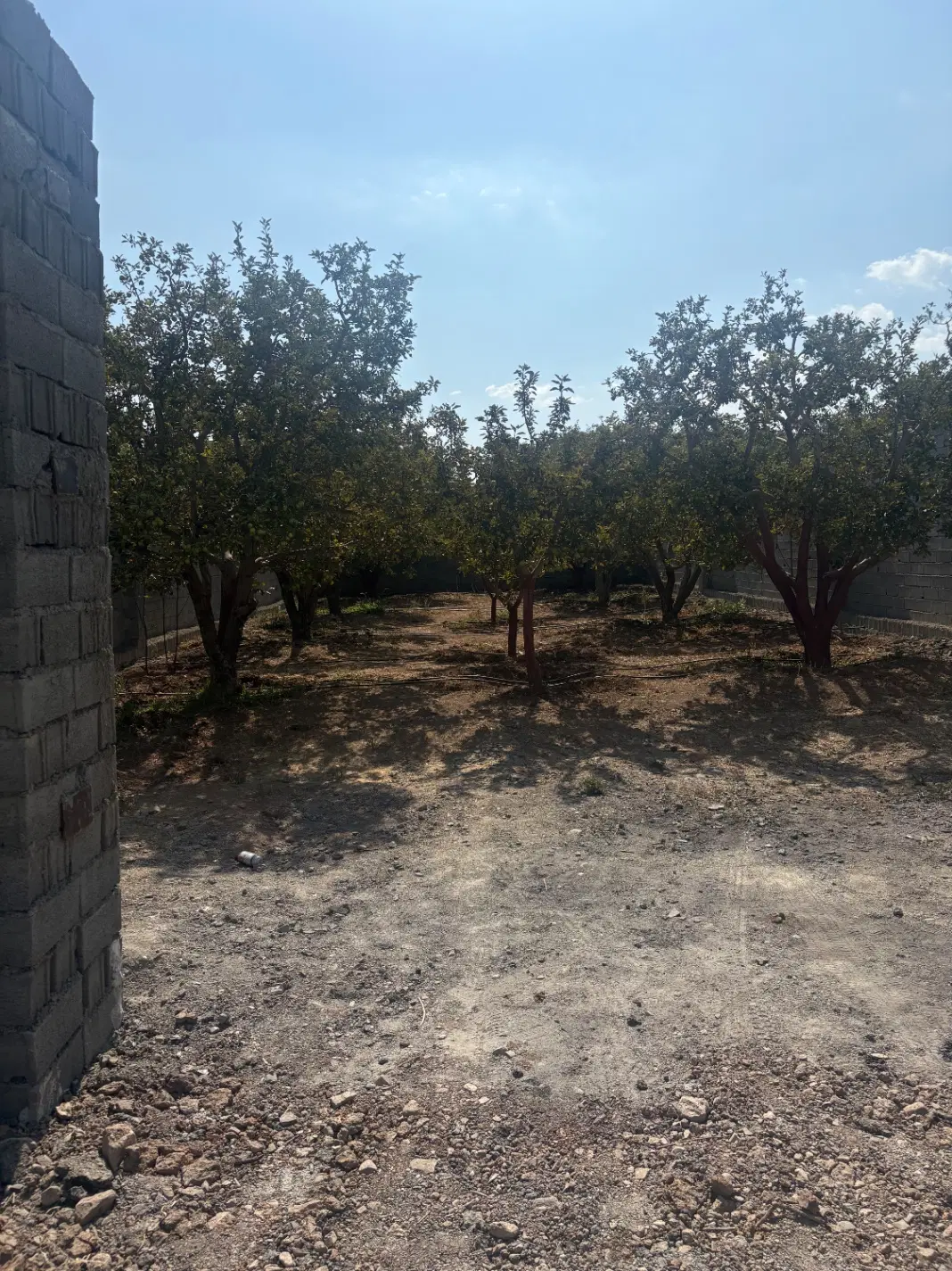 ۲۲۸ متر باغچه سرمایه گذاری باغ زمین جابان دماوند
