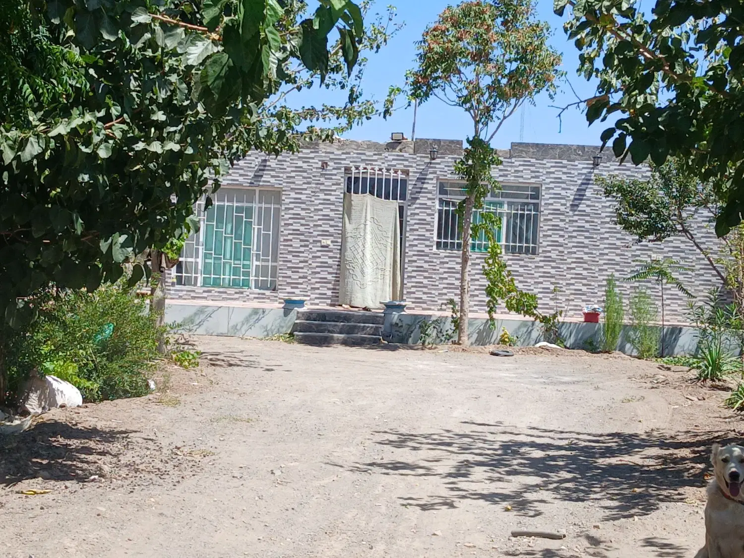 خانه باغ باانواع درخت وچندنوع انگور
