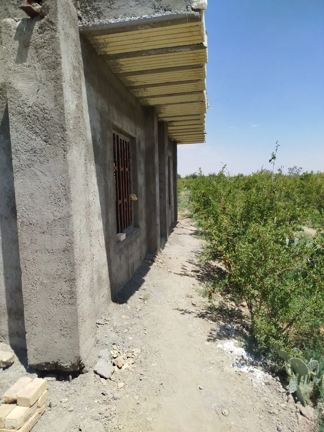 ۴۲۰۰ متر باغ ۲ ساعت سهمیه آب موتور ۶ اینچ