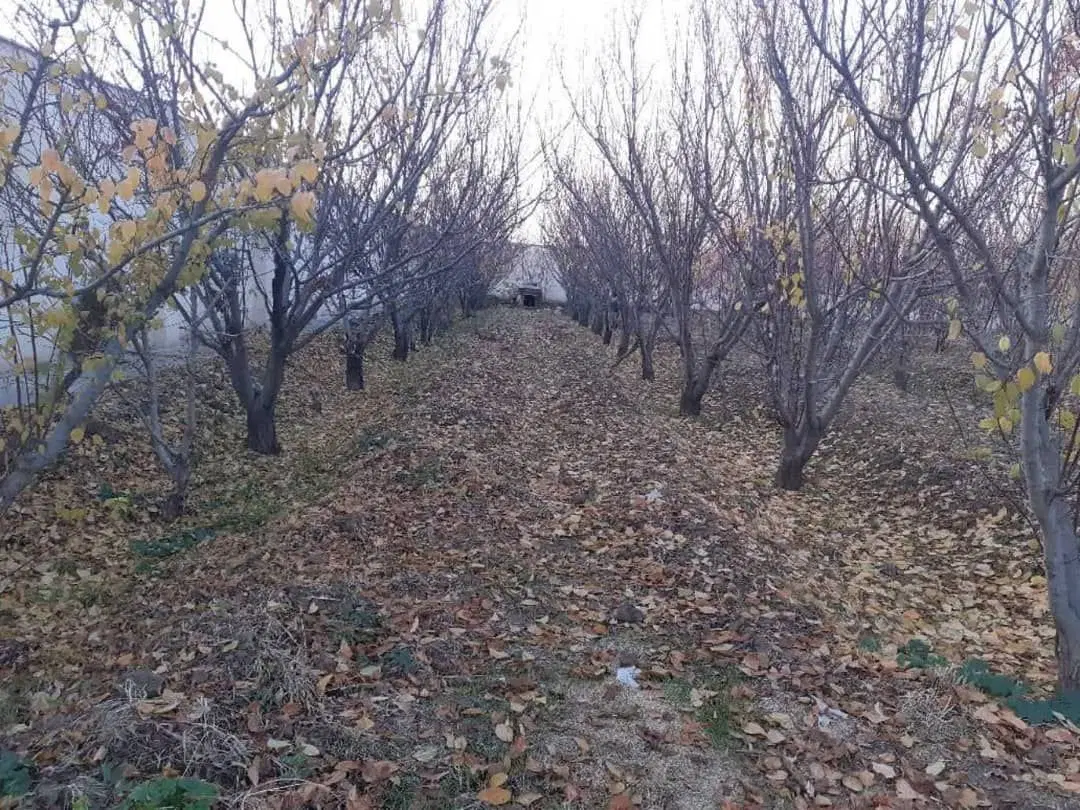 زمین سنددار بر اتوبان تهران ساوه