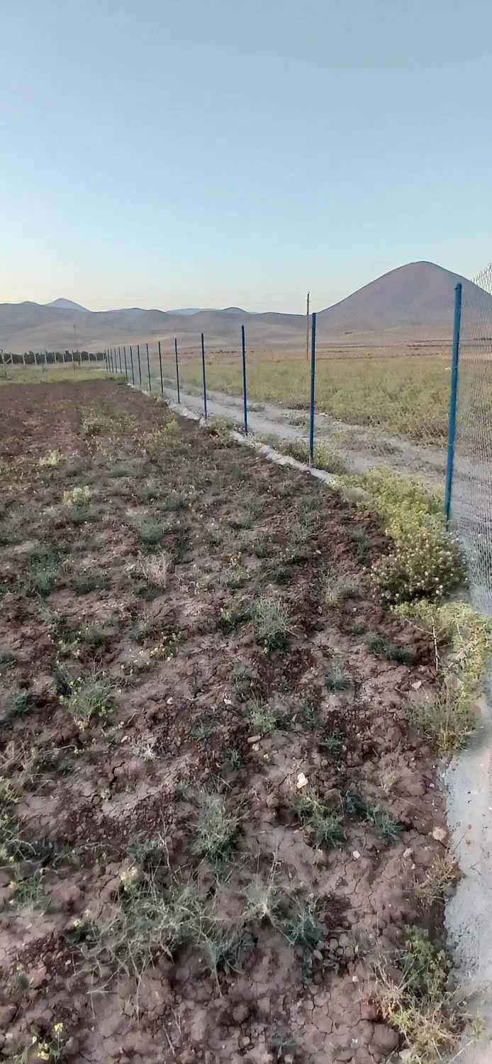زمین ویلایی