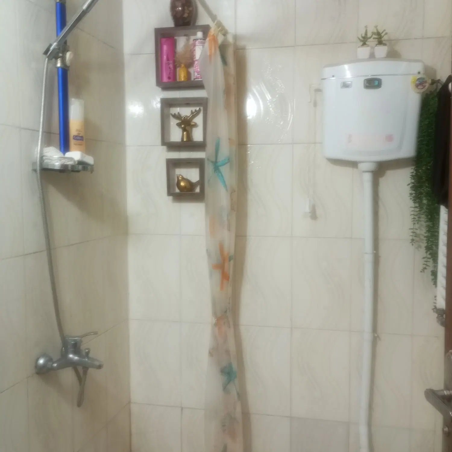خونه ۵۰متری بهترین منطقه طبقه همکف خیابان گلشن