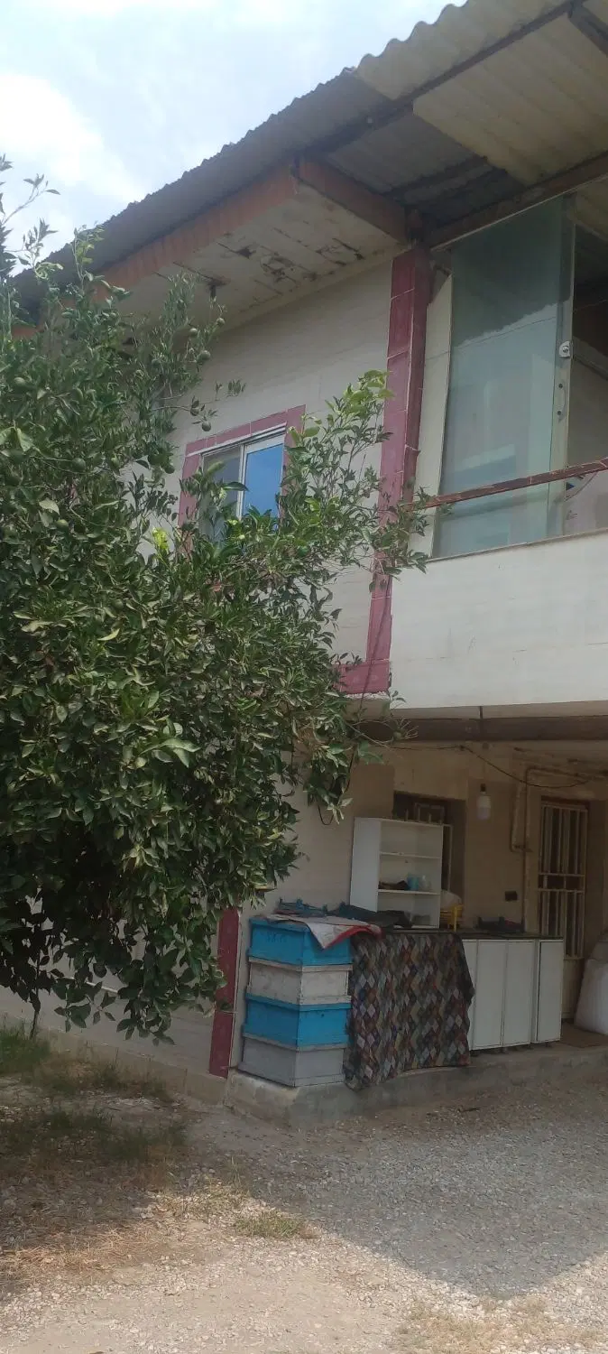 باغ ترکیبی پرتقال وشابلون