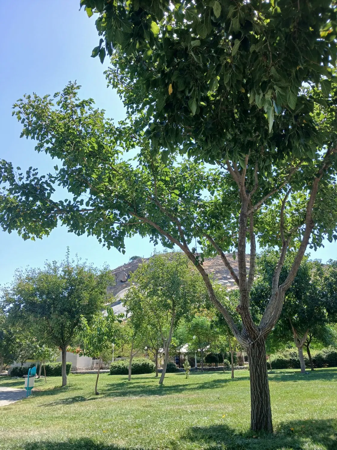 ویلایی
