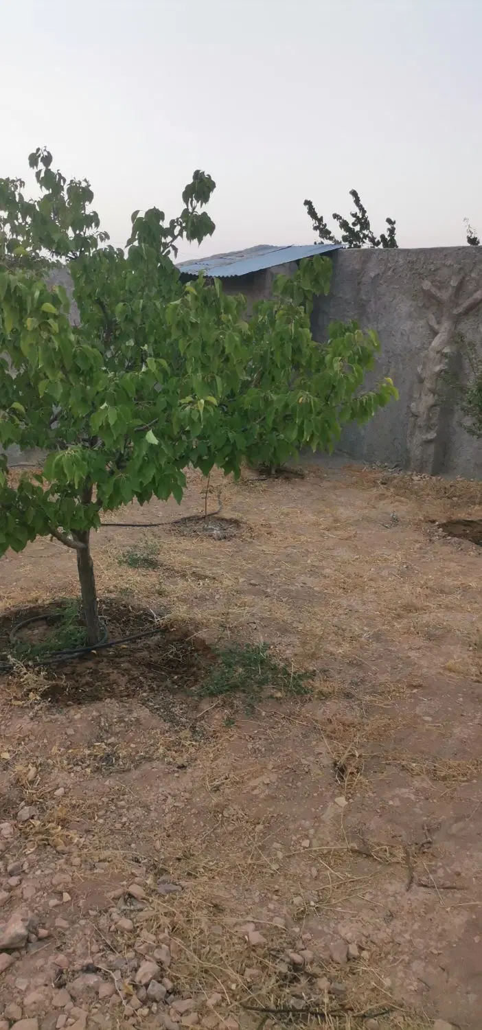 باغ 400 متری