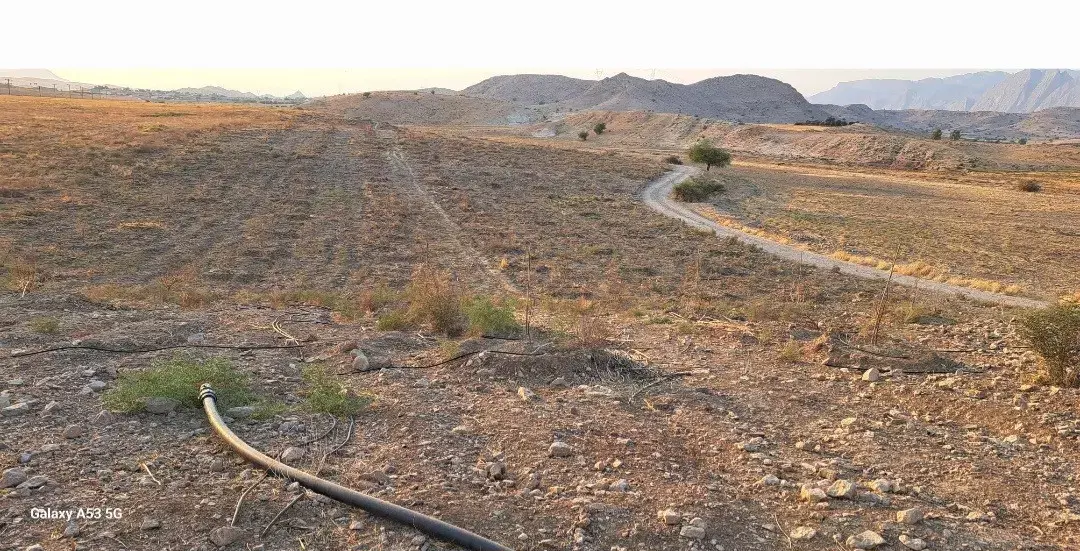 ۱۷۰۰۰ متر زمین آبی_آماده نهالکاری_