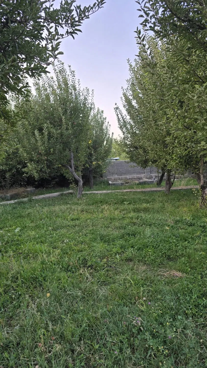 فروش ۸۰۰ متر باغ تجاری اردکان