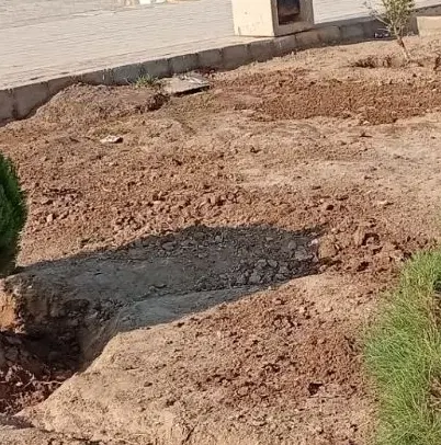 زمین سیادک
