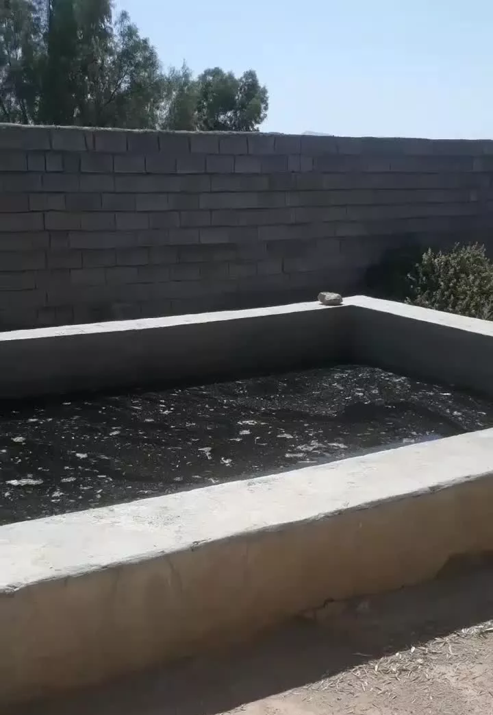 باغ بفروش می‌رسد