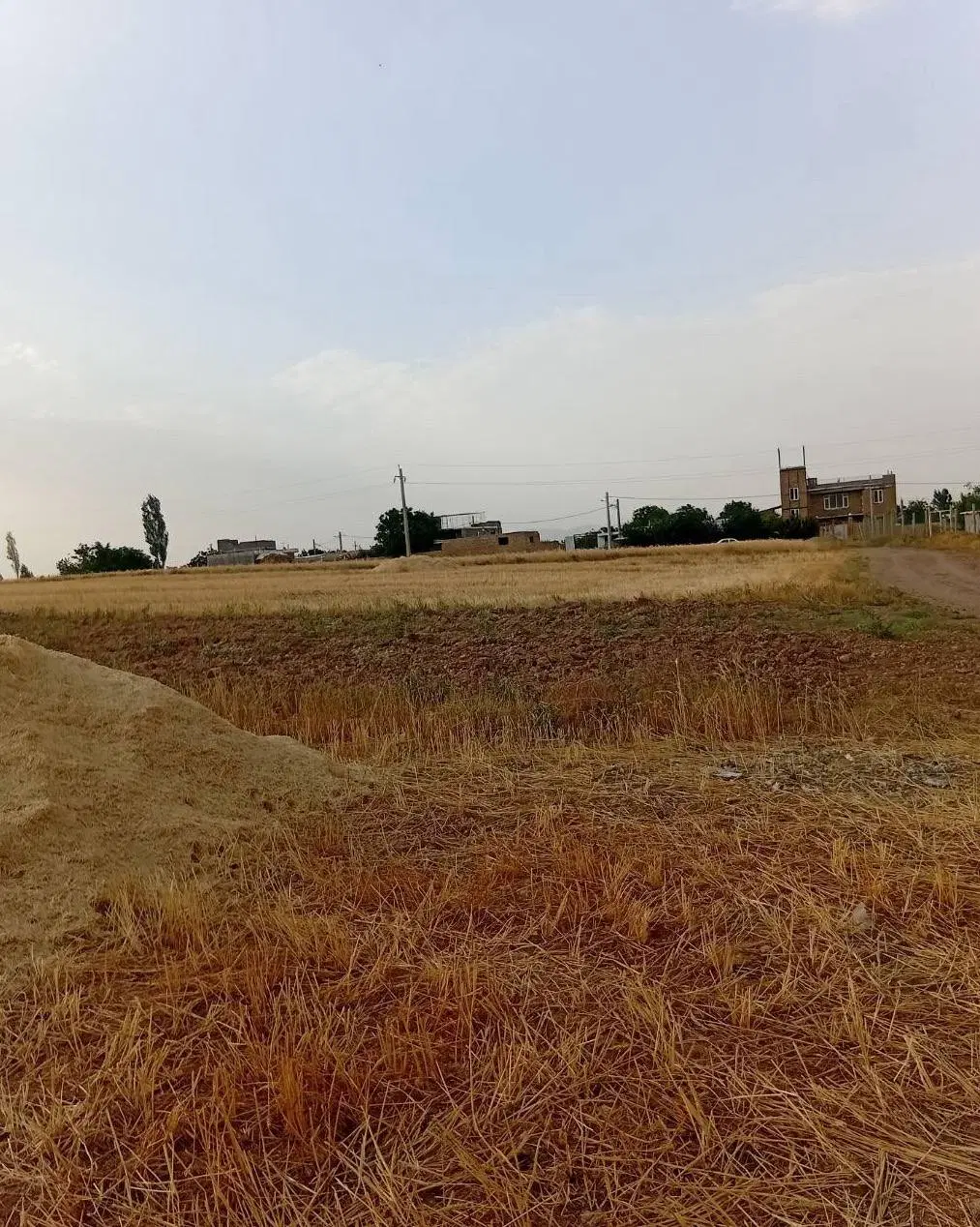 فروش و معاوضه زمین