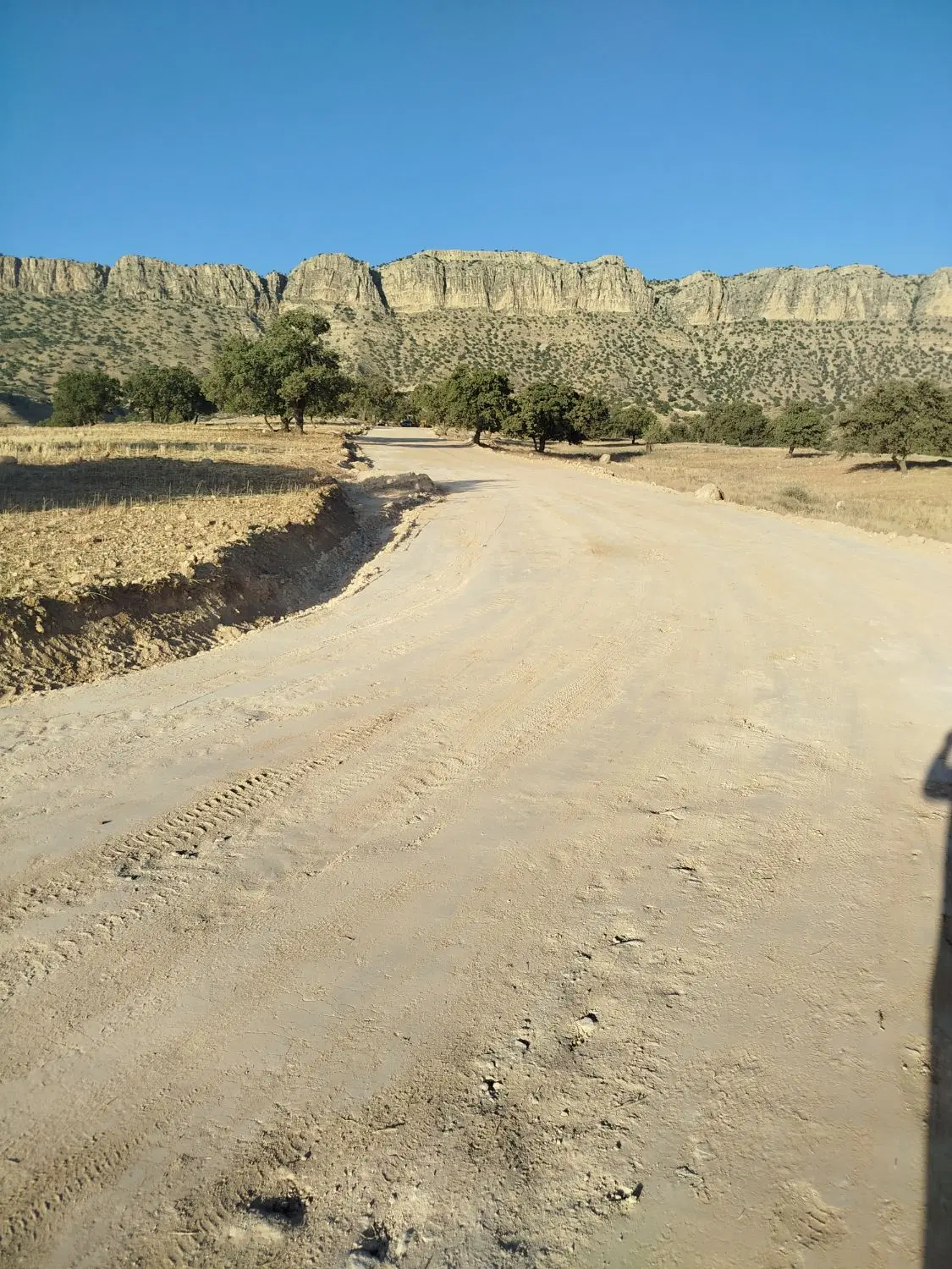باغ شهری