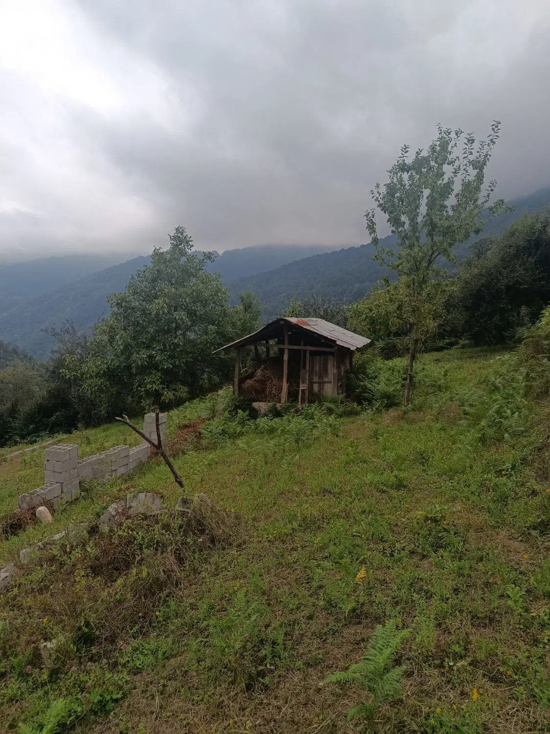 ۲۵۰متر‌ زمین مسکونی