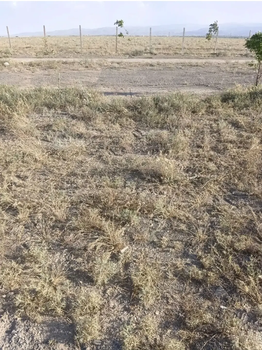 فروش ۲۵۰ زمین داخل بافت روستای قوشق آباد
