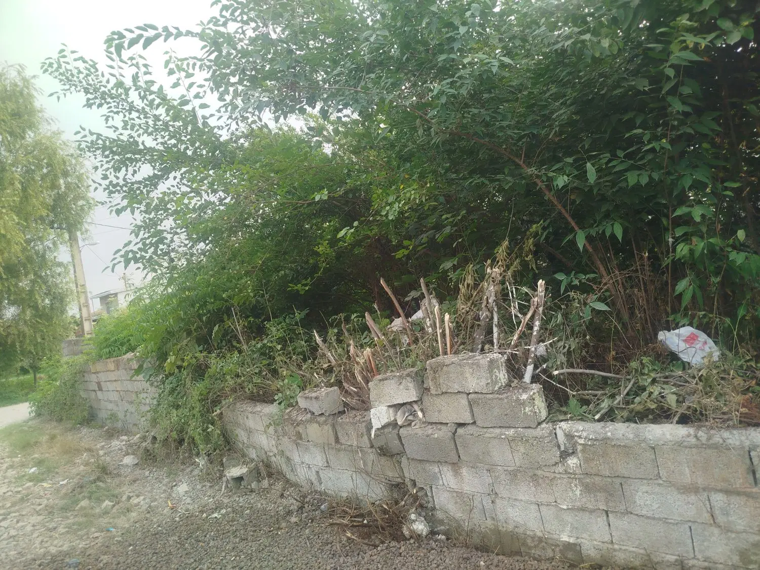زمین سه نبش