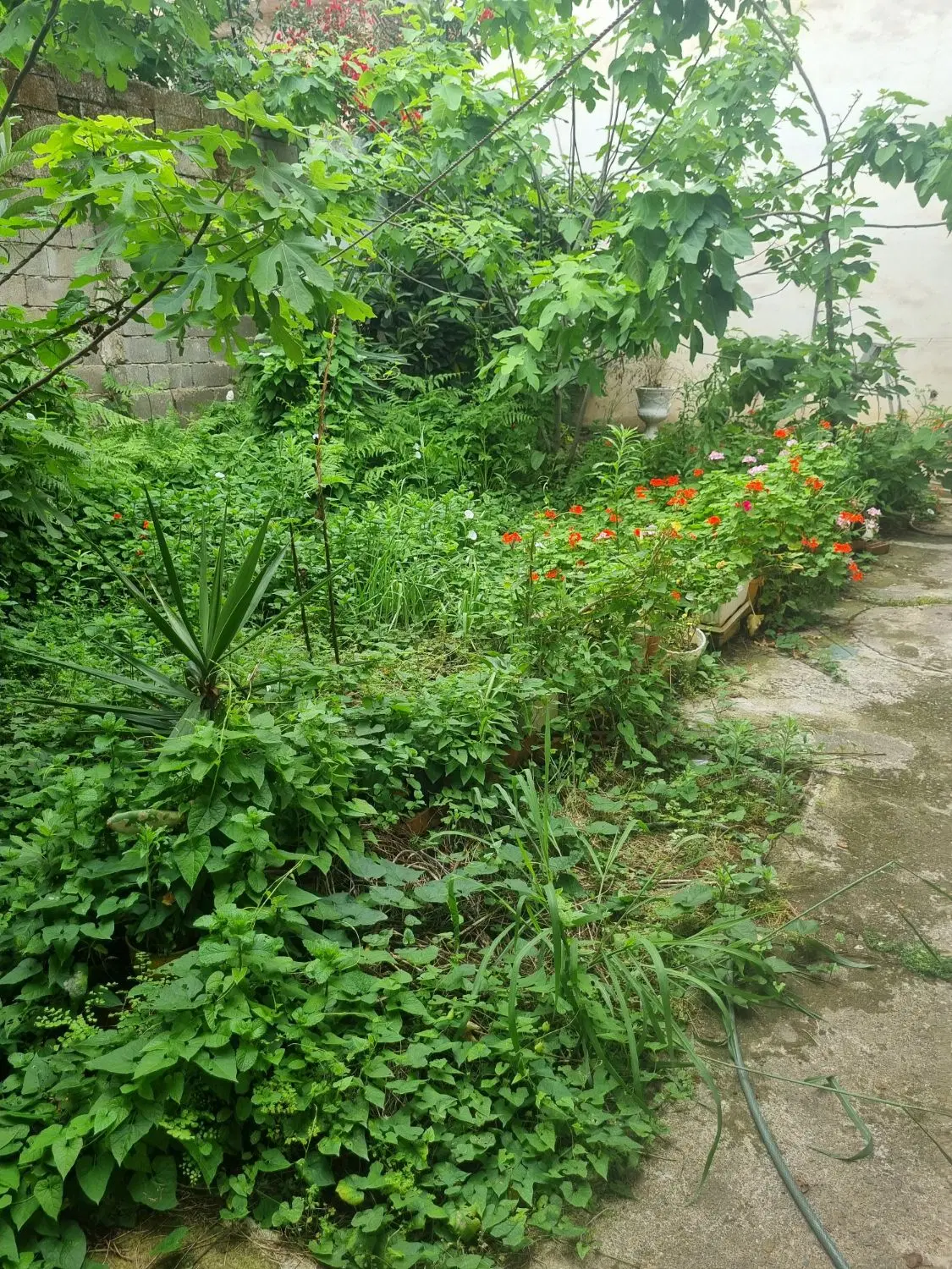 فروش ملک ویلایی در سعدی به سمت تختی