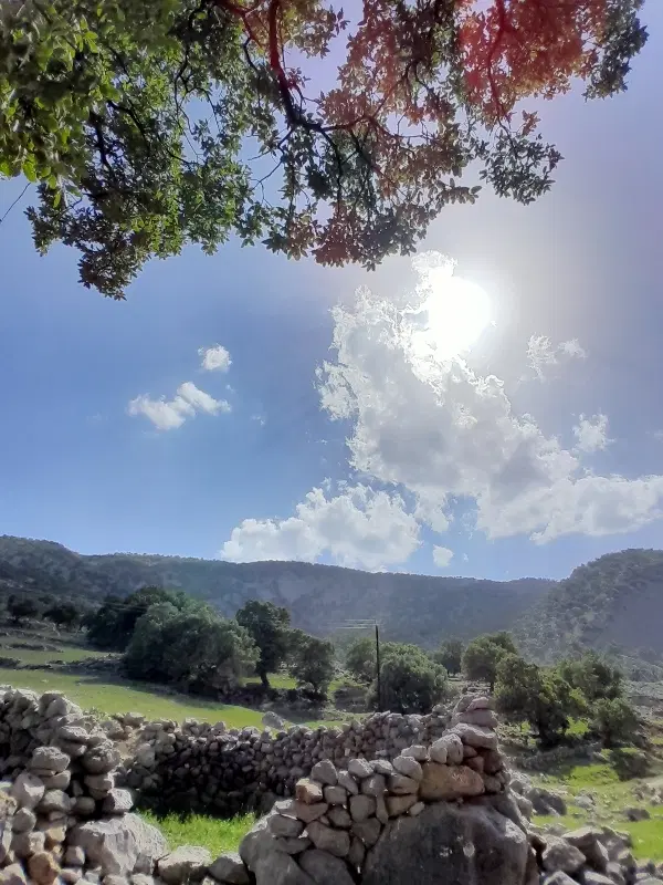 زمین با دیوارکشی گورک.چسپیده فاز ۶ عالیشهر.
