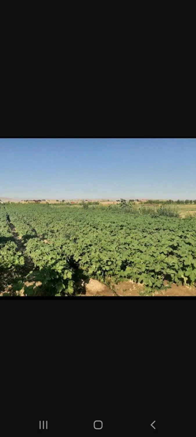 فروش زمین انتهای پنجتن ستایش ۳