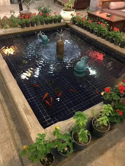 ۲۵۰ متری عرض ۱۰
