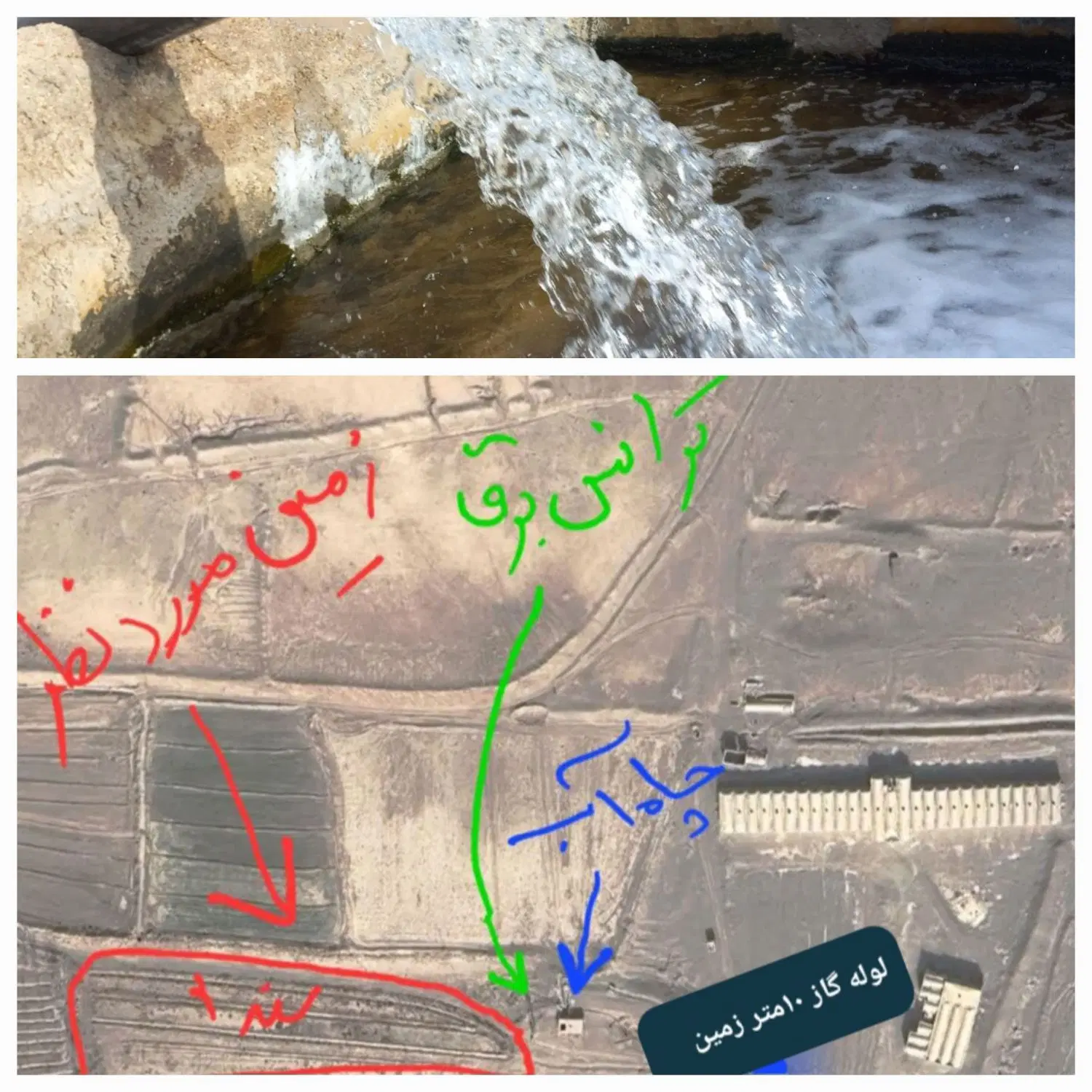 زمین و باغ کشاورزی