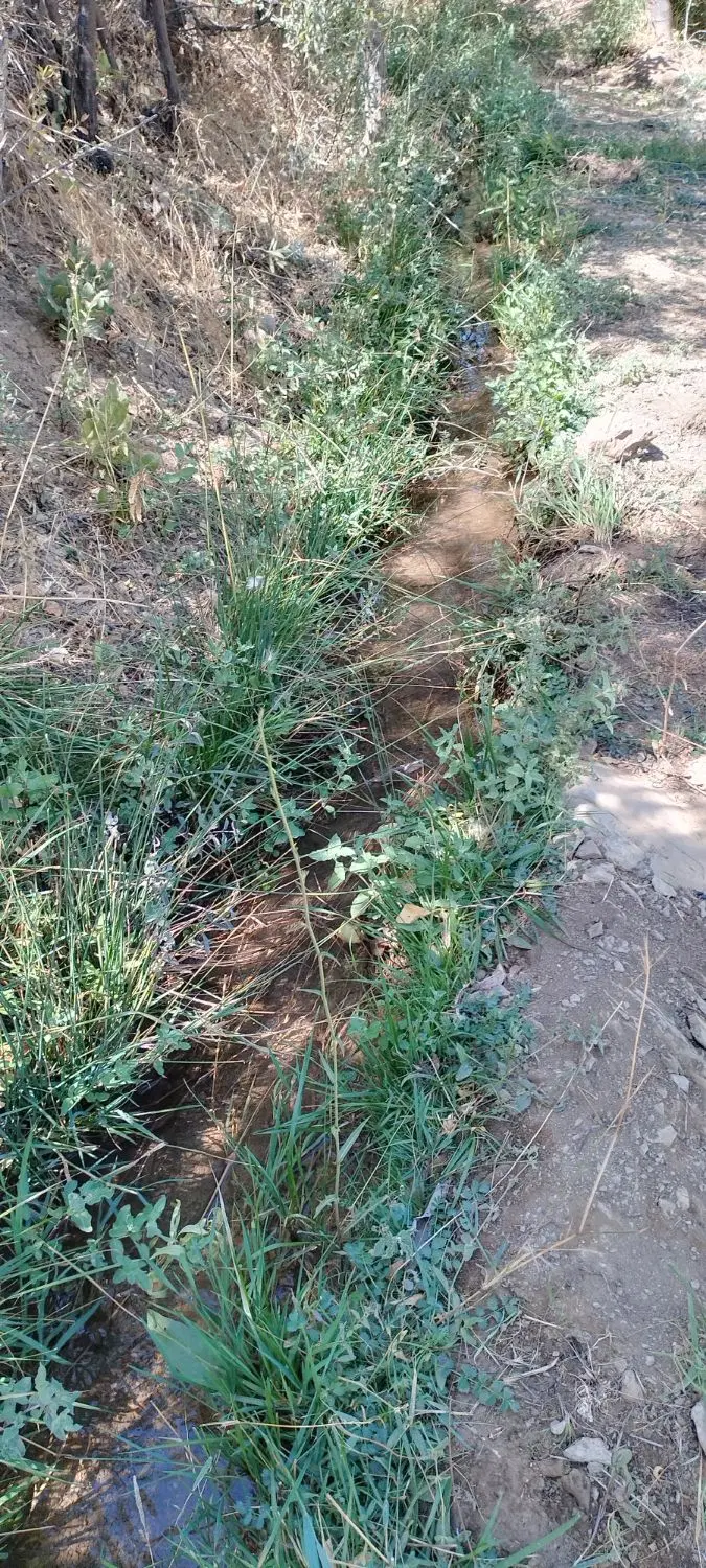 فروش باغ روستای تخت زنگی