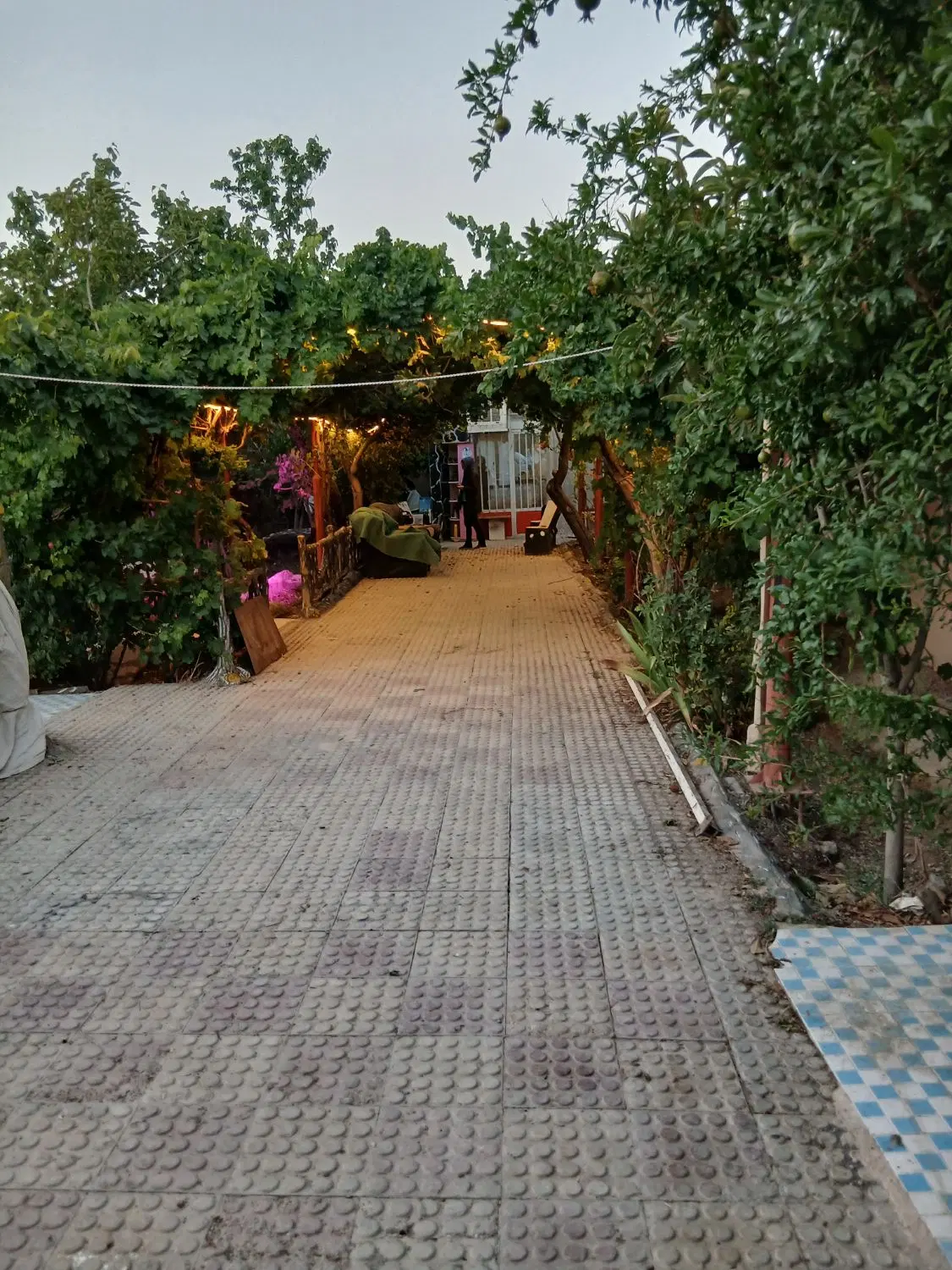 باغ مسکونی