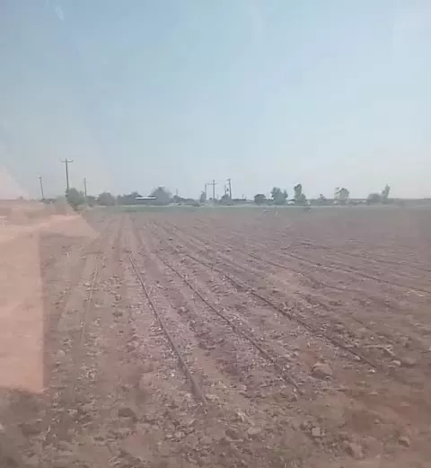 ۲ هکتار زمیم کشاورزی  در بند سراجی