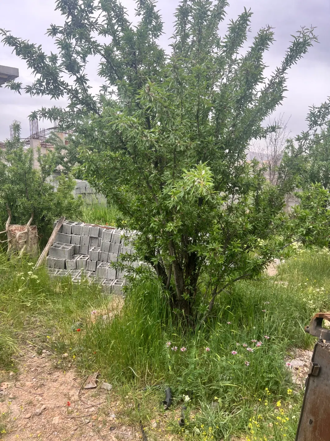 زمین باغشهر اهل بیت ( مربع دوم)
