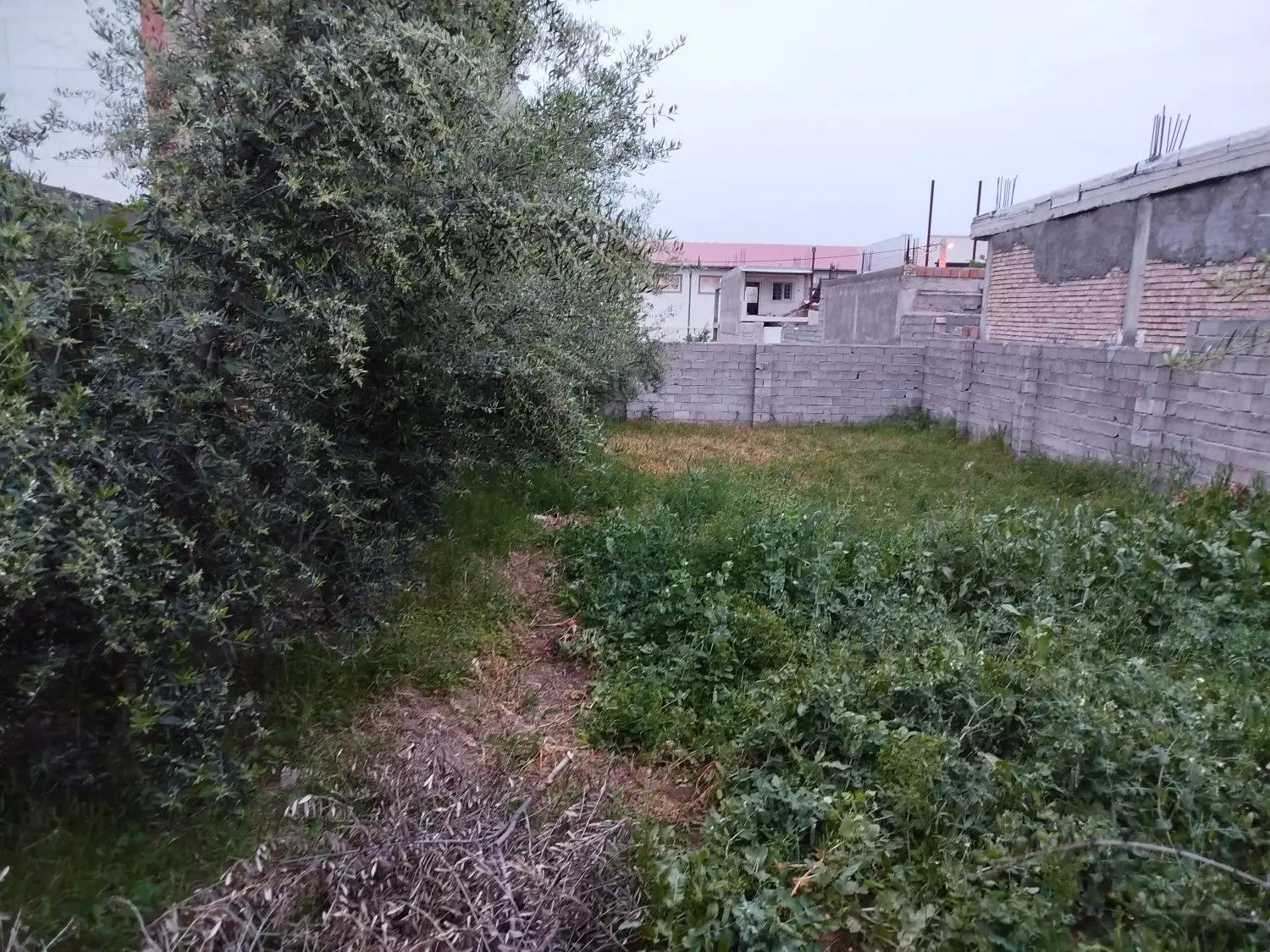زمین مسکونی 202 متری شهرک فرهنگیان رامیان