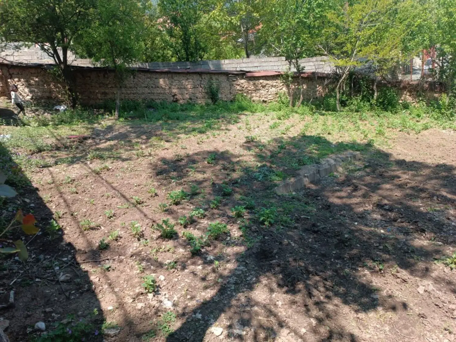 زمین سند دار روستای کارمزد