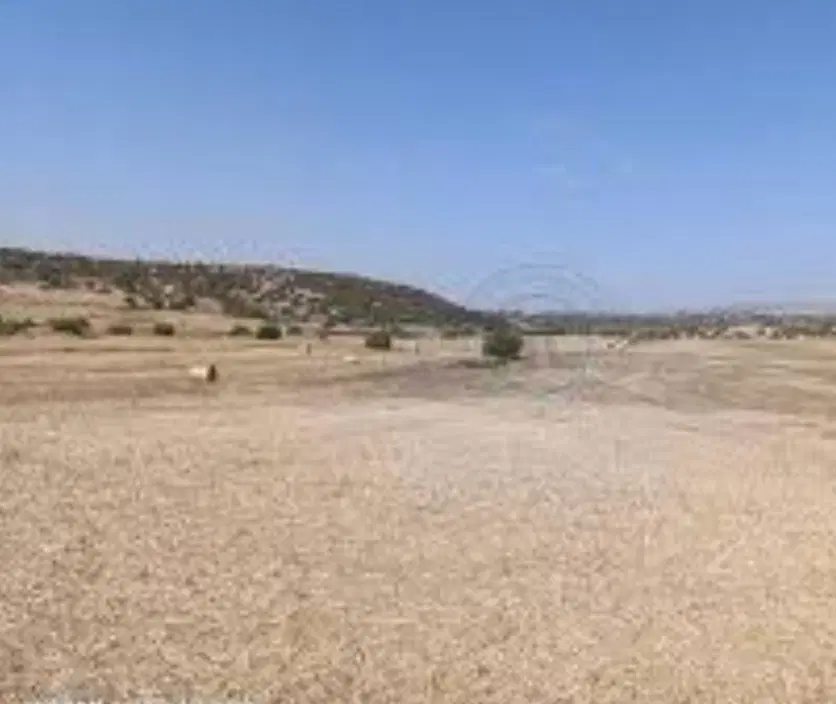 زمین جوانی جمعیت