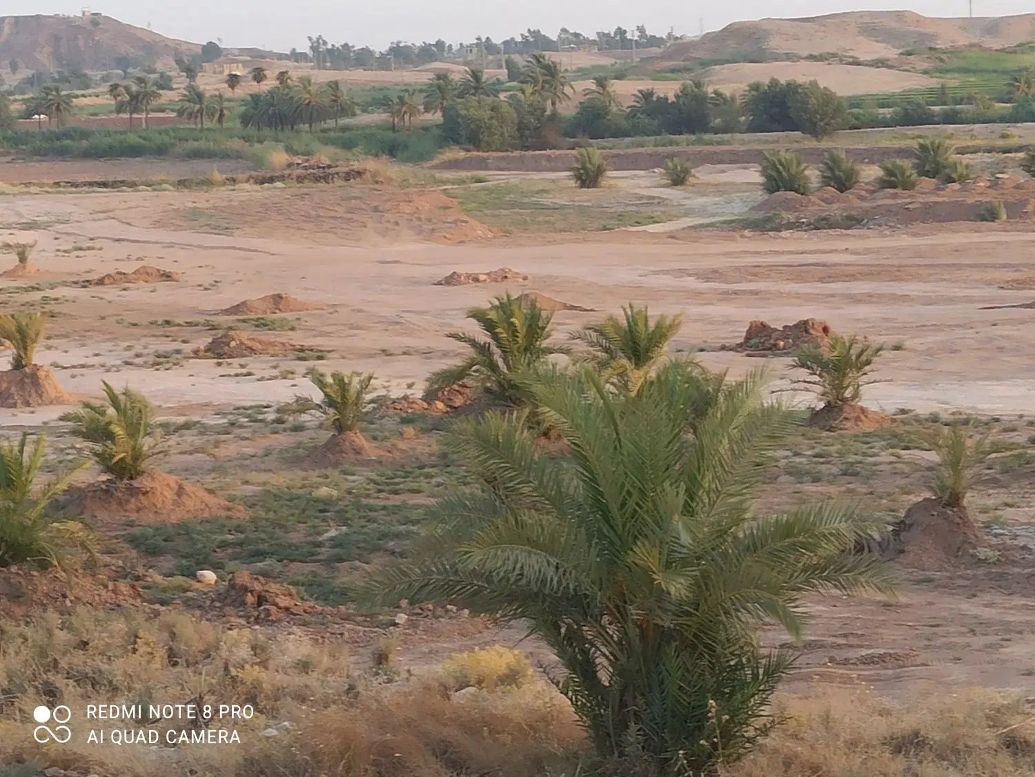 باغ خرماوپارکینگ