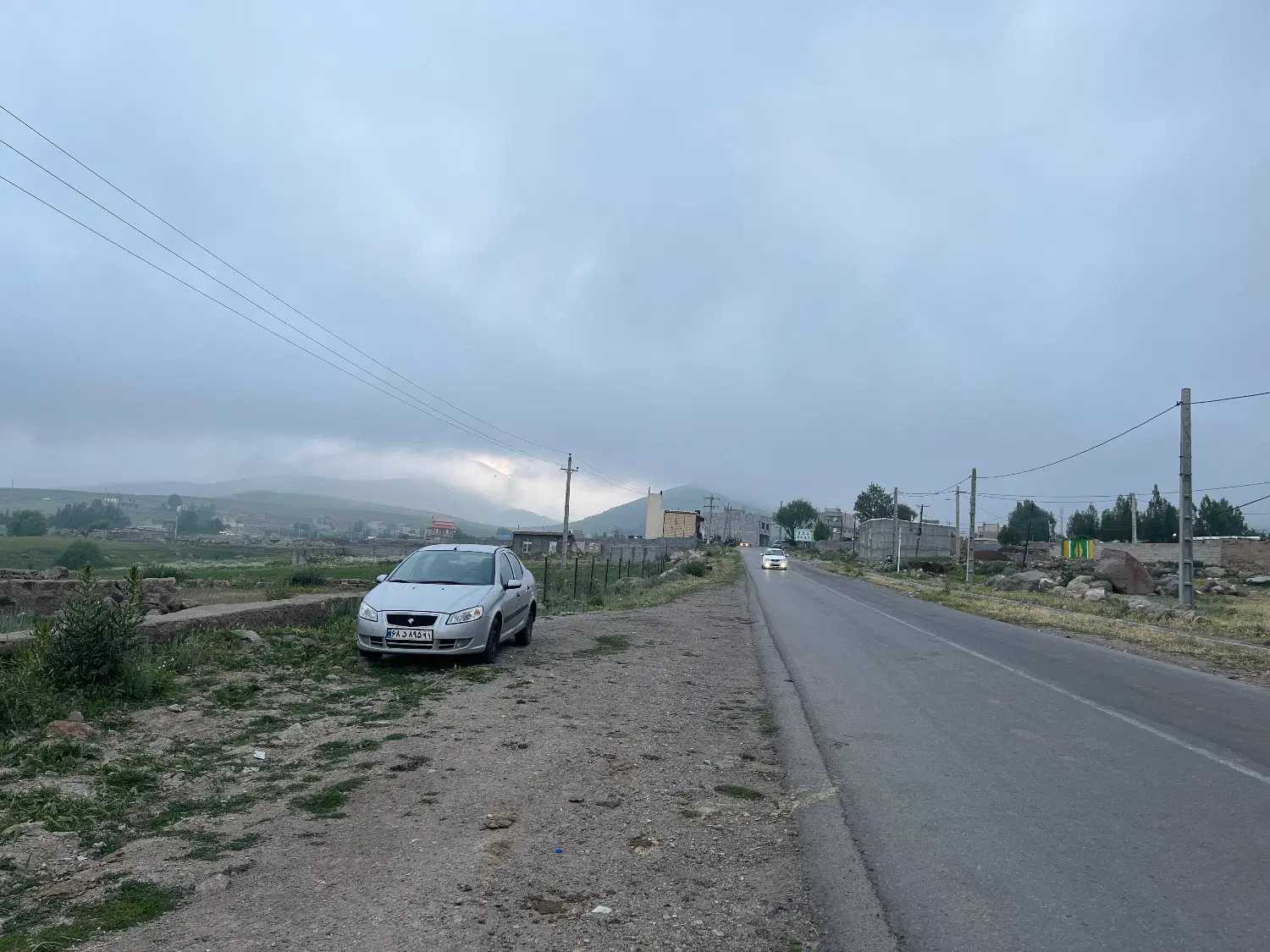 زمین سند تک برگ