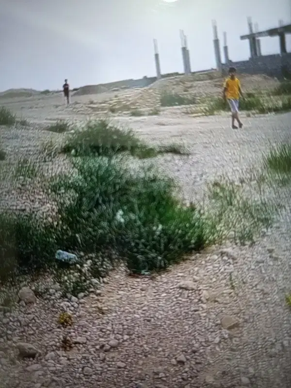 زمین بندرجاسک