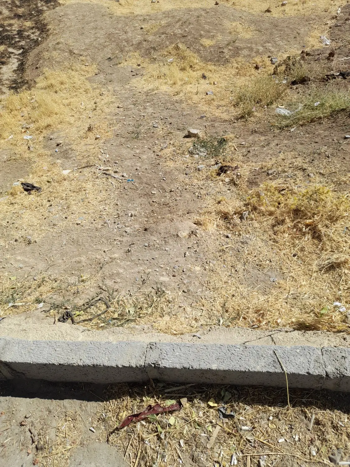 زمین مسکونی
