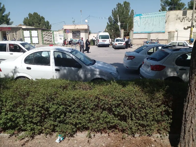 باغ فروشی سرسبز