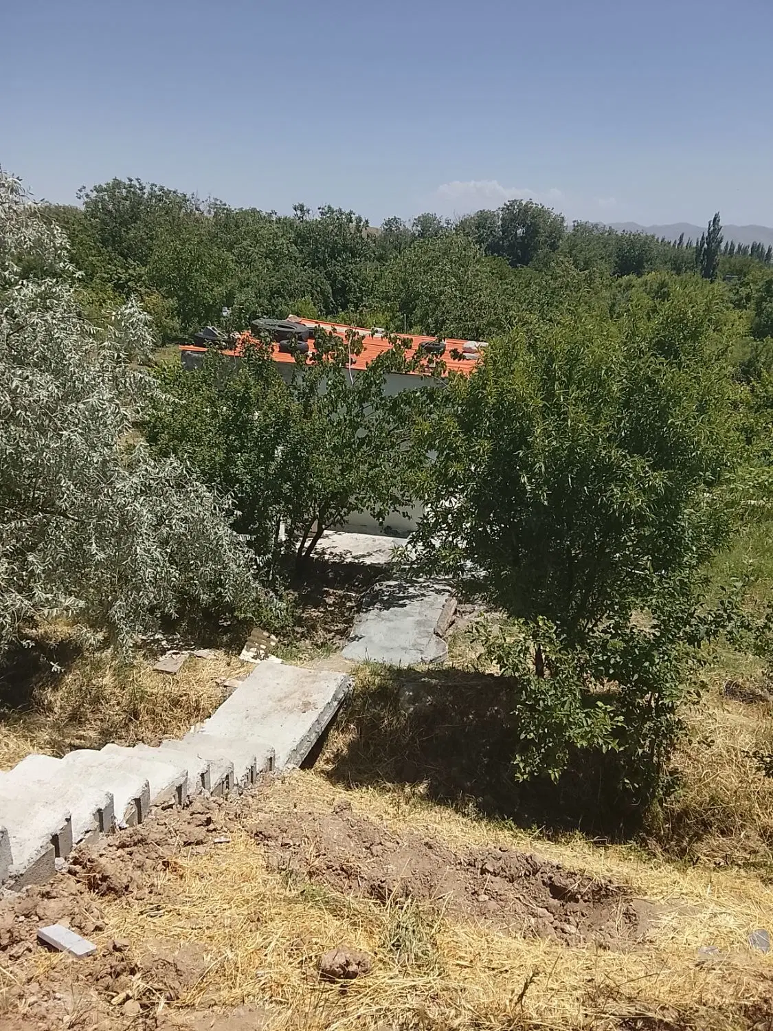 باغ سردرختی در آهق
