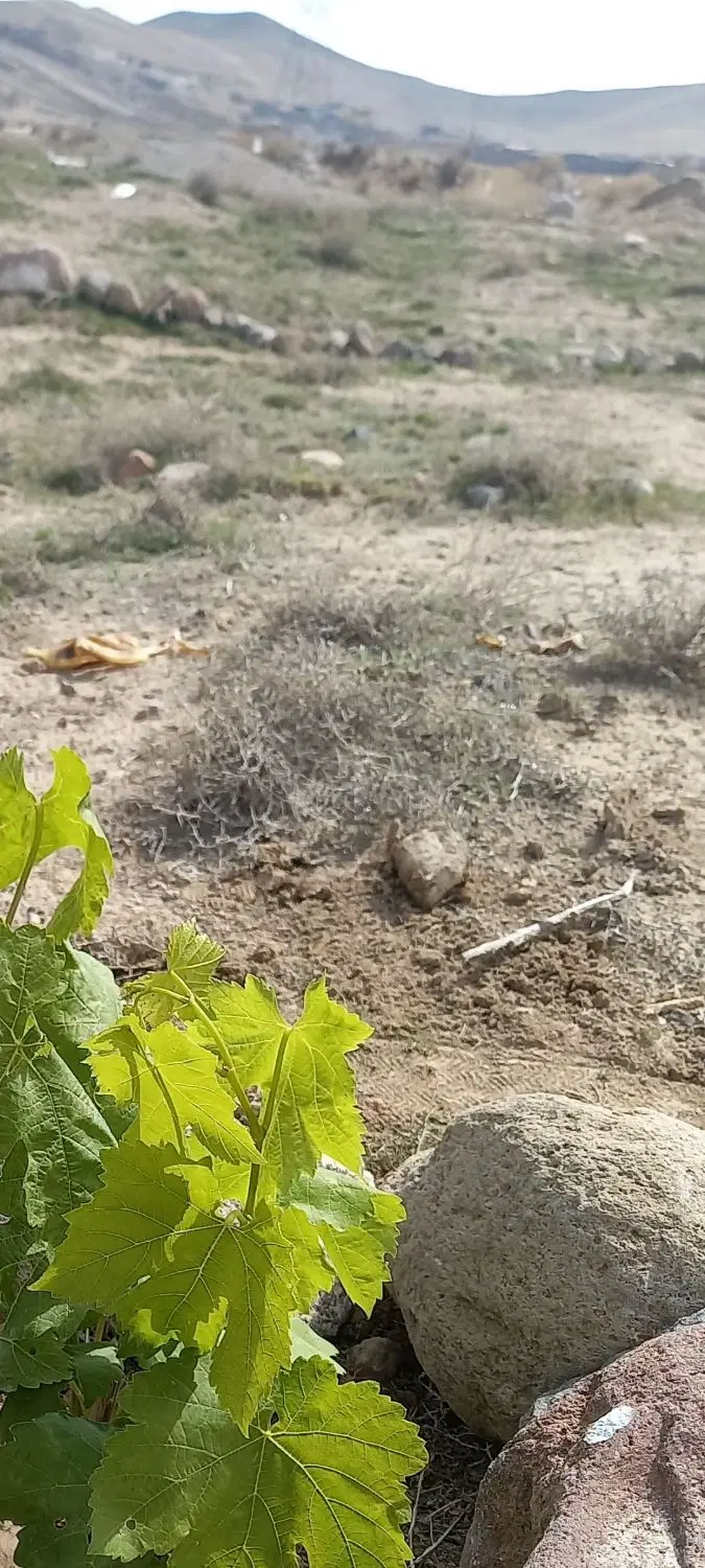 تعویض زمین باواحد