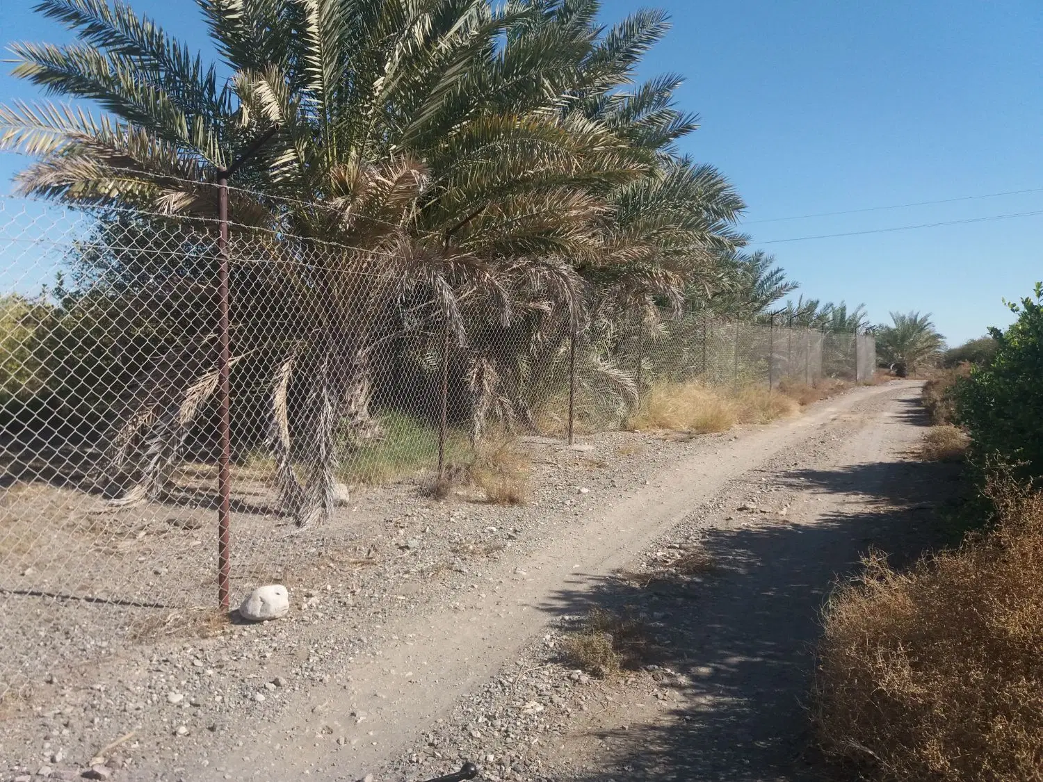 باغ