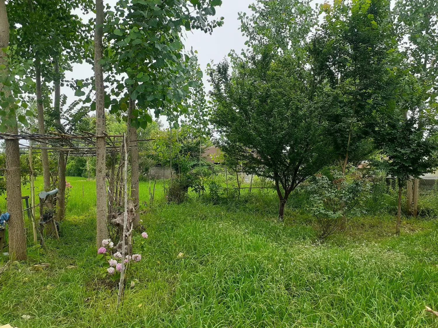 مشارکت در ساخت