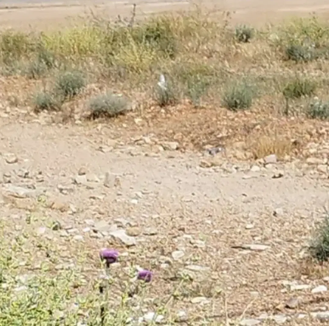 فروش زمین ۲۷ متری تجاری میدان قهرمانان