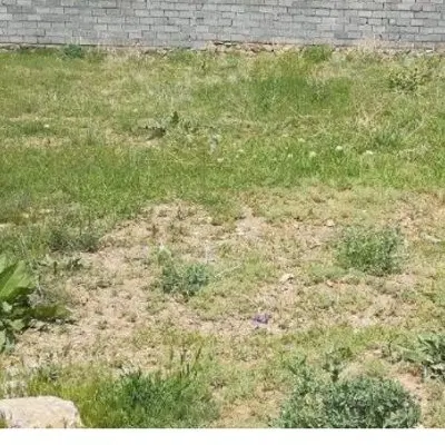 ۱۰۰متر زمین خیابان امام خمینی