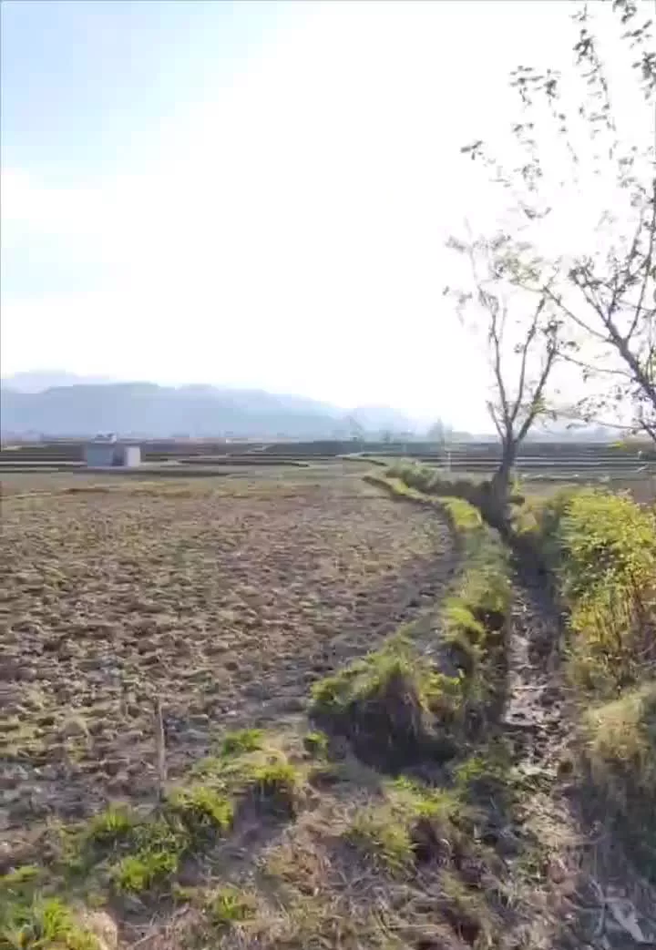 دوهزار (۲۰۰۰) متر زمین