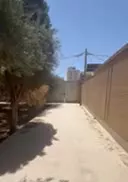 دربست اطلسی